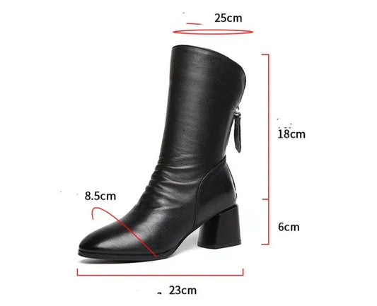 Autumn And Winter Women's Pointed Thick Heel And Fleece Martin Boots - DanaFashionstore