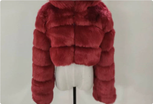 Women's Fur Coat Fox Fur Stitching Short Lapel Long Sleeve Coat Dana Fashion