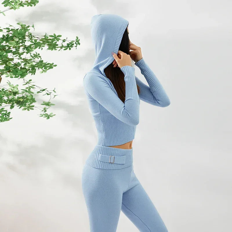 Hoodie Suit Women Leisure Sexy Zip Long Sleeve Sweater And High Waist Long Pants Set - DanaFashionstore