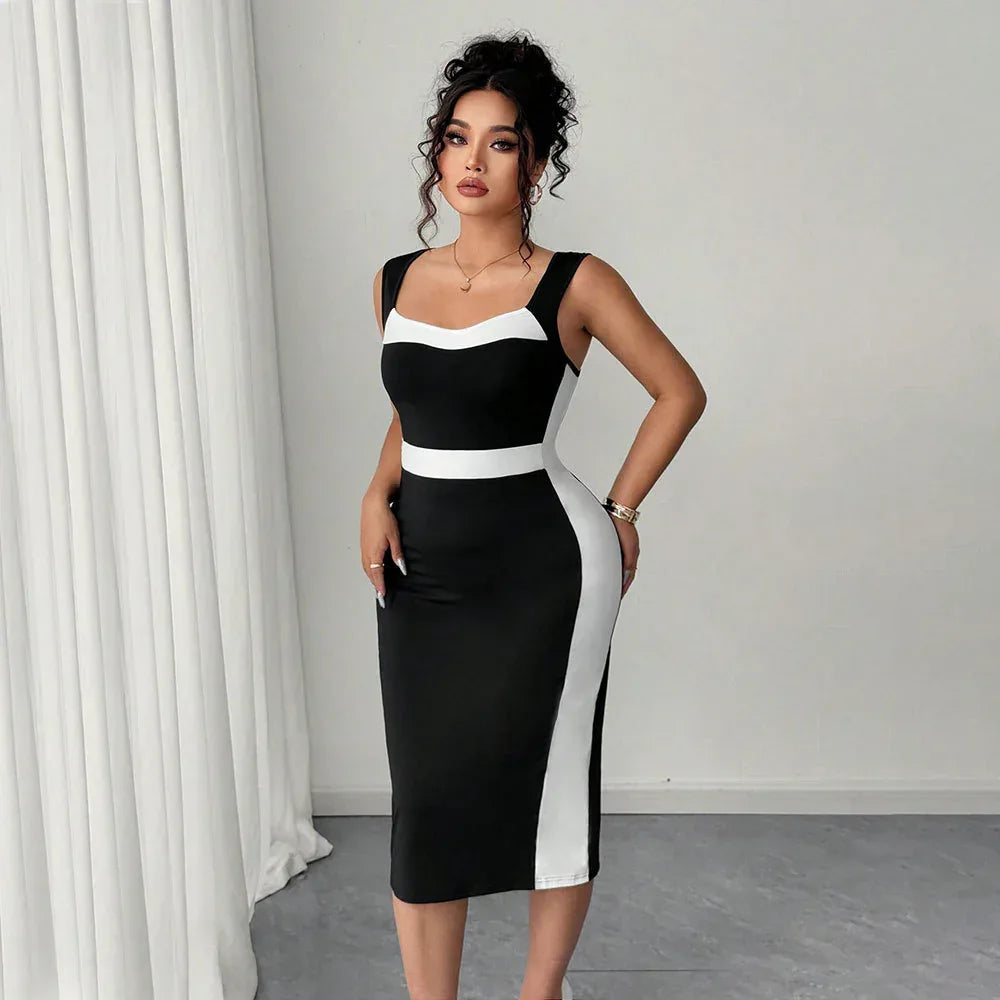 Women's Elegant Intellectual Style Contrasting-color Dress - DanaFashionstore