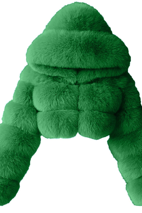 New Winter Faux Fur Coat for Women Dana Fashion