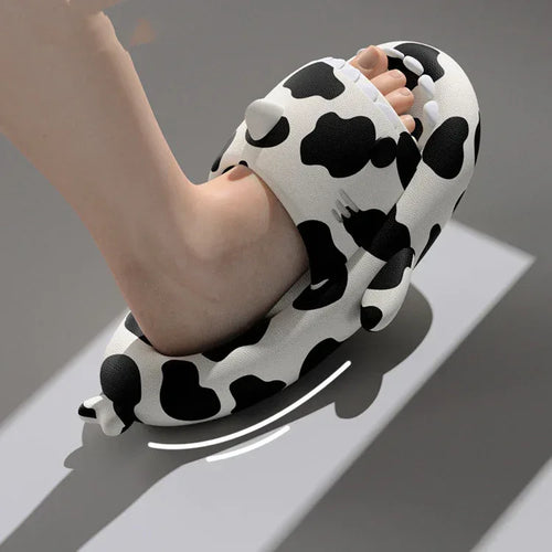 Cow Shark Slippers Women Indoor Home Non-slip - DanaFashionstore