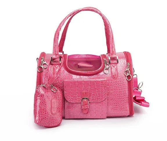 Pet Hand Bag - DanaFashionstore