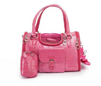 Pet Hand Bag - DanaFashionstore