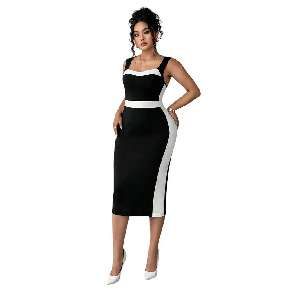 Women's Elegant Intellectual Style Contrasting-color Dress - DanaFashionstore