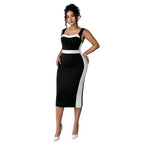 Women's Elegant Intellectual Style Contrasting-color Dress - DanaFashionstore