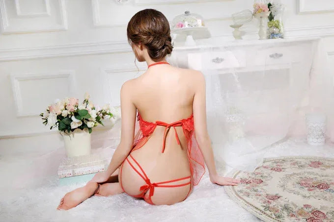 Sexy Transparent Lace Apron Lingerie 2026 - Intimate Roleplay Wear - DanaFashionstore