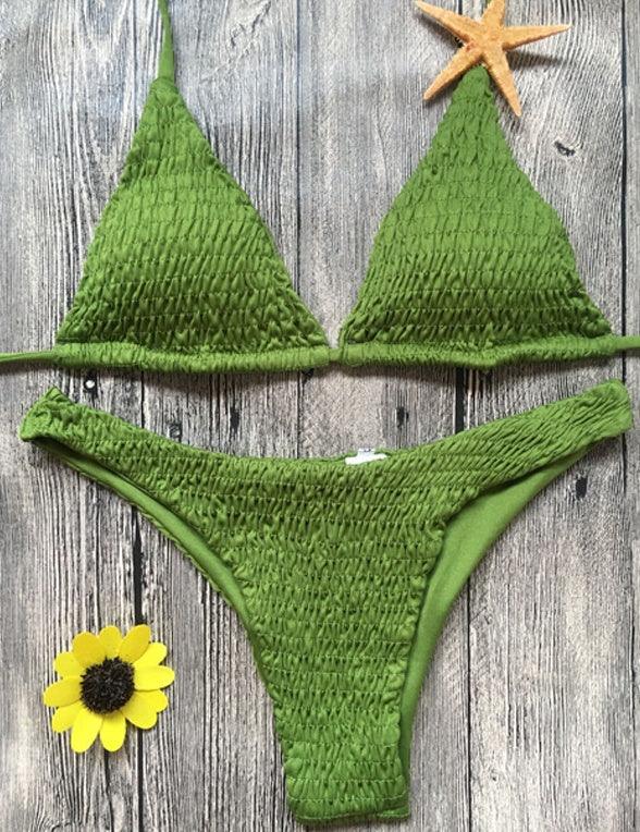 Swimsuit sexy pleated triangle bikini - DanaFashionstore