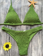 Swimsuit sexy pleated triangle bikini - DanaFashionstore