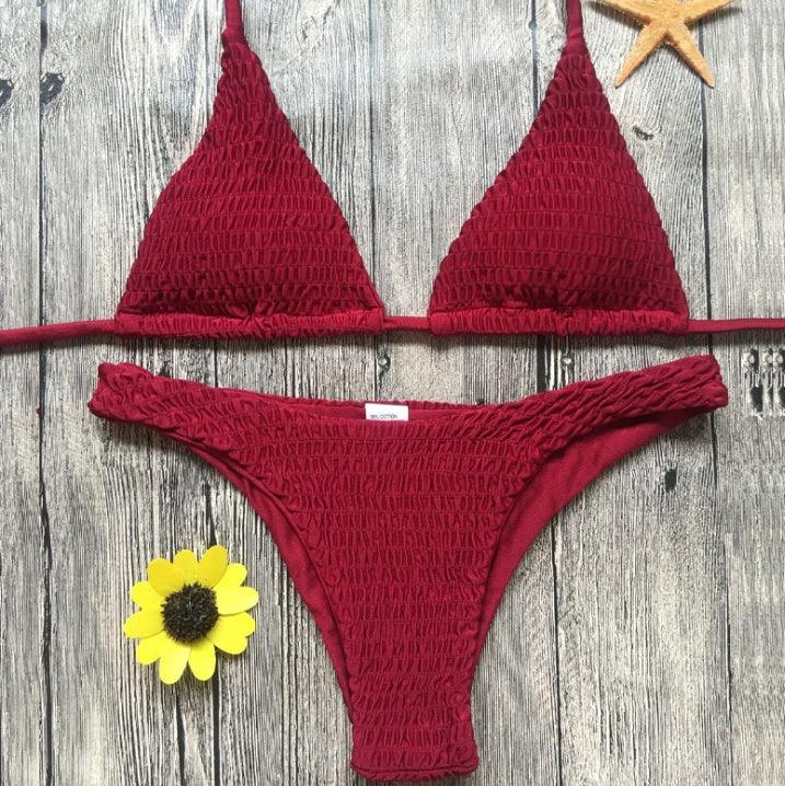 Swimsuit sexy pleated triangle bikini - DanaFashionstore