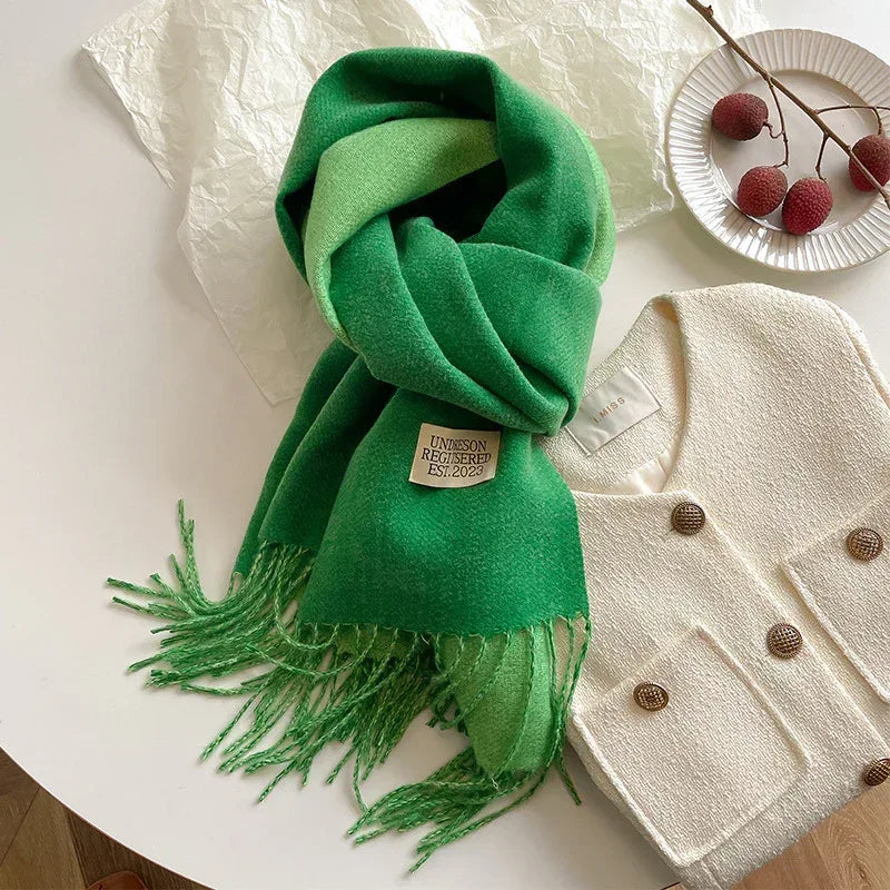 New Scarf Autumn And Winter Popular Color Matching Cashmere Scarf For Women - DanaFashionstore