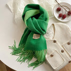 New Scarf Autumn And Winter Popular Color Matching Cashmere Scarf For Women - DanaFashionstore