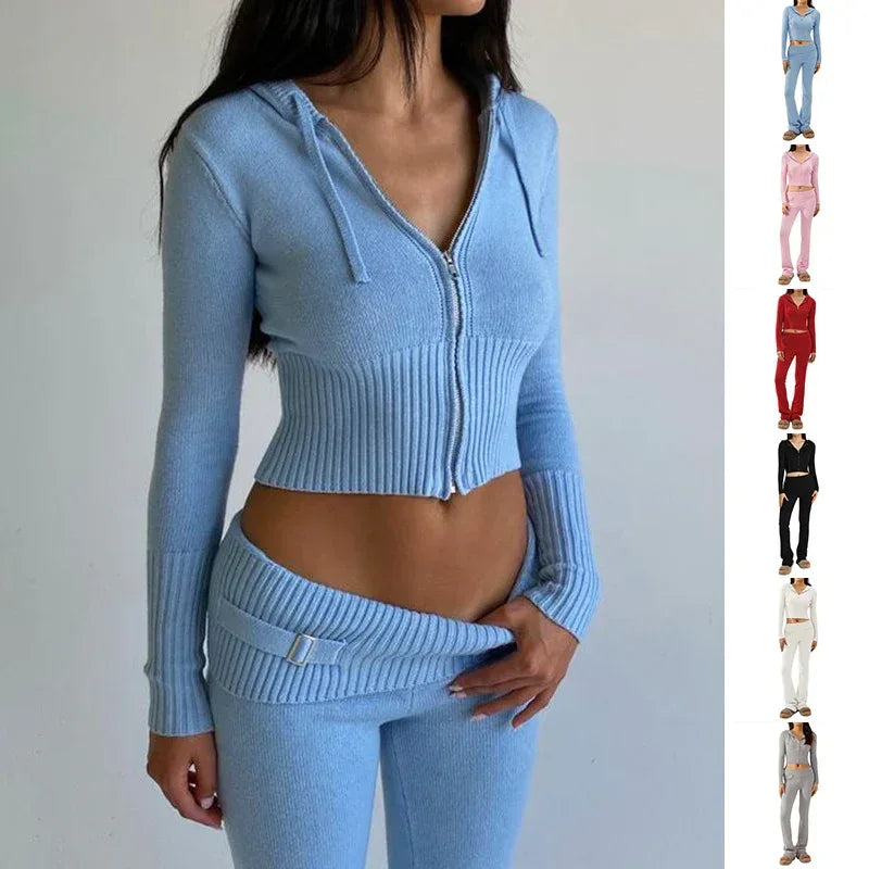 Hoodie Suit Women Leisure Sexy Zip Long Sleeve Sweater And High Waist Long Pants Set - DanaFashionstore