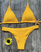 Swimsuit sexy pleated triangle bikini - DanaFashionstore