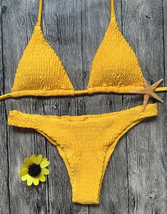 Swimsuit sexy pleated triangle bikini - DanaFashionstore