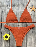 Swimsuit sexy pleated triangle bikini - DanaFashionstore