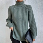 Turtleneck Pullover Sweater With Split Design Fashion Simple Solid Color Long Sleeve Tops Women's Clothing - DanaFashionstore