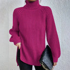 Turtleneck Pullover Sweater With Split Design Fashion Simple Solid Color Long Sleeve Tops Women's Clothing - DanaFashionstore