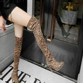Stiletto High Heel Pointed Toe Over-the-knee Boots - DanaFashionstore