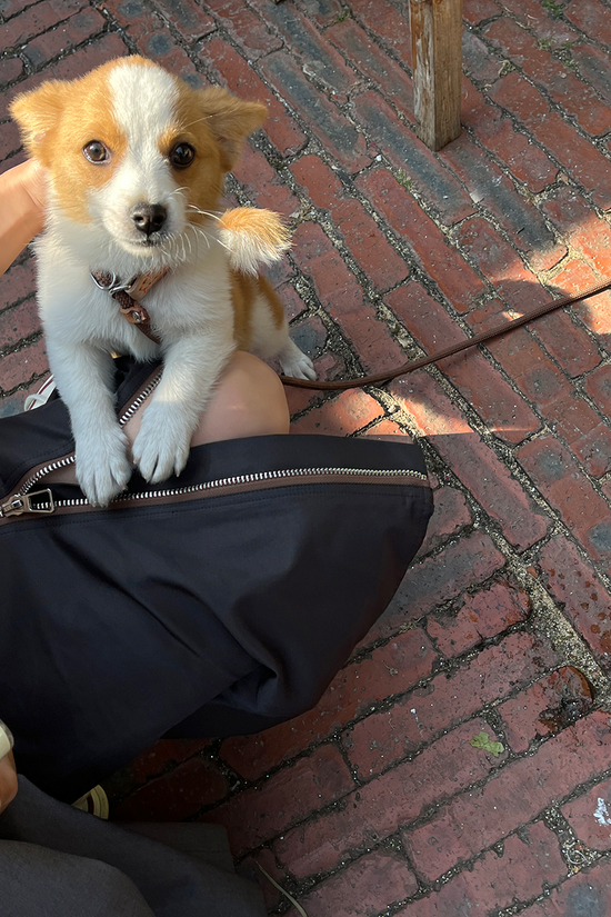 Women's Zip Skirt Slimming Mid-length Straight Skirt