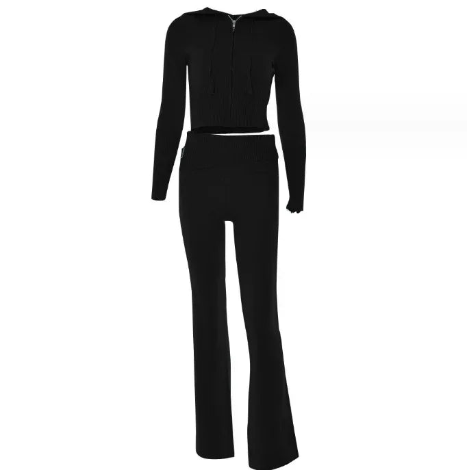Hoodie Suit Women Leisure Sexy Zip Long Sleeve Sweater And High Waist Long Pants Set - DanaFashionstore