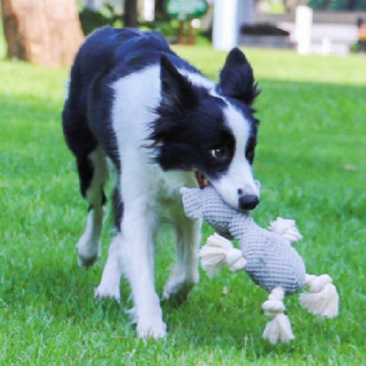 Bite-resistant Interactive Pet Dog Toy $18.71 Dana Fashion Color: Elepbaby Toys & Hobbies Product information: Color: Elephant, greedy snake Material: Plush Category: Pet Toys Packing list: Stuffed animal *1 Product Image: