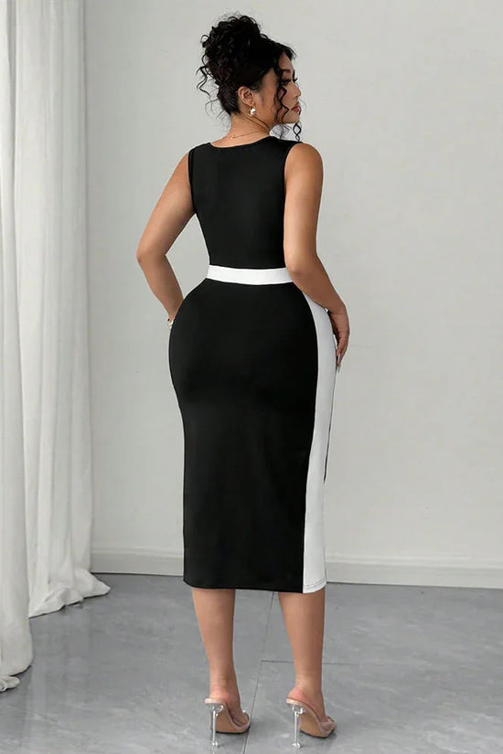 Women's Elegant Intellectual Style Contrasting-color Dress - DanaFashionstore