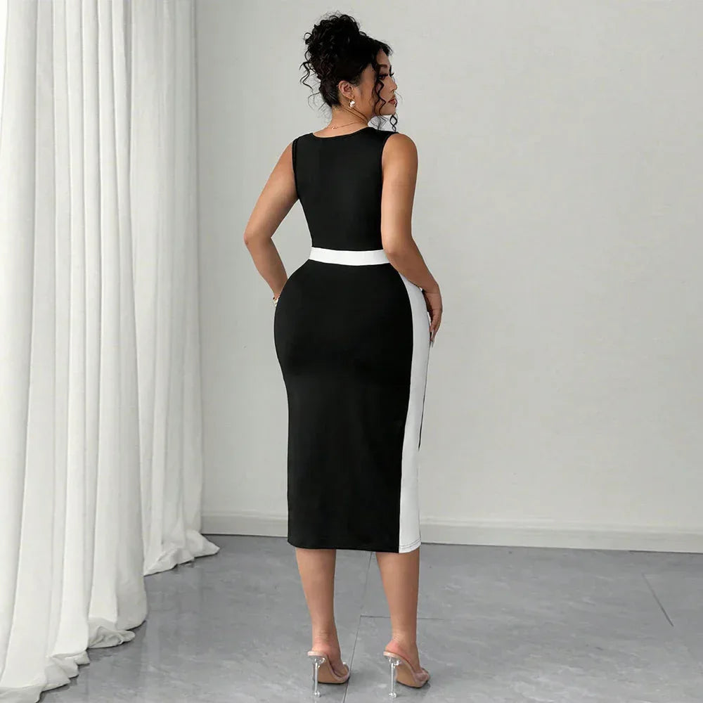 Women's Elegant Intellectual Style Contrasting-color Dress - DanaFashionstore