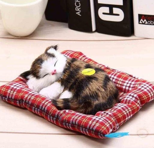 Cat Sleeping Doll With Meow Sound $18.11 Dana Fashion Color: Brown Toys & Hobbies SIZE :17*14CM When you press the logo on your stomach, you will make a squeaking sound. It is dynamic, lifelike, soft and comfortable. Strong anti-destructive ability, not e