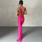 Backless Halter Sheath Dress For Women - DanaFashionstore