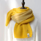 Shawl Accessories Cashmere Scarf Women Scarfs Winter - DanaFashionstore