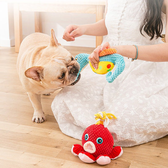 Dog Toy Plush Resistant To Biting Teeth And Making Noise $17.99 Dana Fashion Color: Blue Toys & Hobbies Product Information： Product category: Sounding toys Material: pineapple velvet Weight: 100g Specifications: light blue seahorse, red octopus Size Info