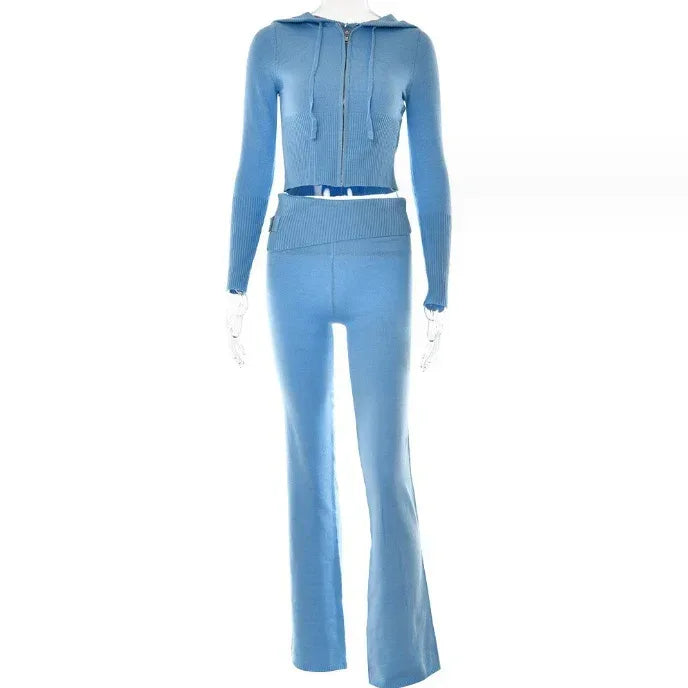 Hoodie Suit Women Leisure Sexy Zip Long Sleeve Sweater And High Waist Long Pants Set - DanaFashionstore