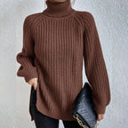 Turtleneck Pullover Sweater With Split Design Fashion Simple Solid Color Long Sleeve Tops Women's Clothing - DanaFashionstore