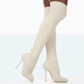 Europe And The United States Foreign Trade Large Size High With Fine Heel Stretch Boots Female - DanaFashionstore