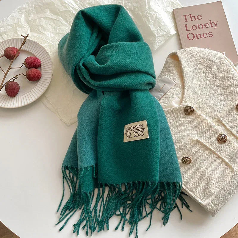 New Scarf Autumn And Winter Popular Color Matching Cashmere Scarf For Women - DanaFashionstore