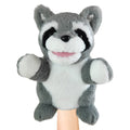  Raccoon