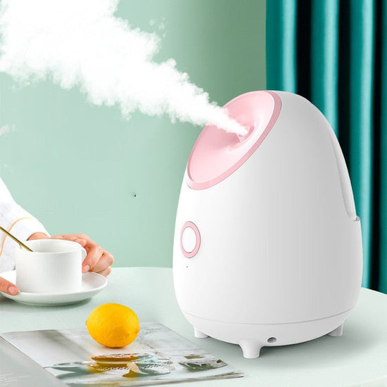 Household Fruit And Vegetable Spray Moisturizing Steaming Facial $59.00 Dana Fashion Color: White Electrical outlet: EU Beauty Tools Product information: Fog time: 11-30 seconds Gear position: 1 gear Spray heat: hot spray Color: White Specification: Chine