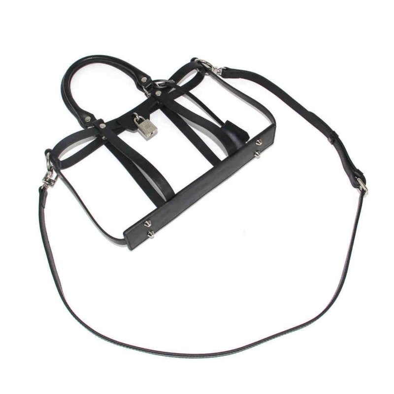 Leather Shell Single Shoulder Crossbody $189.50 Dana Fashion Color: Coffee Colored Textured Cowhid Size: 19th Shell Gold Hardware Women's Bags Product information: Material: cowhide Fitting type: strap Color classification: apricot vegetable tanned and di