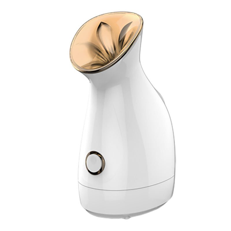 Nano ion water supply instrument $120.00 Dana Fashion Color: Gold format: AU Beauty Tools Description Facial Steamer Moisturizing Replenishment Hot Spray Steam Face Machine Device household Nanometer ion Steam Machine Beauty About product Use for warm ste