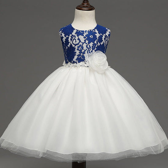 new European girls retro lace dress baby dress skirts wholesale baby full moon4 $27.61 Dana Fashion Color: Blue Size: 70 Baby Clothing 1