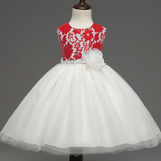 new European girls retro lace dress baby dress skirts wholesale baby full moon4 $27.61 Dana Fashion Color: Red Size: 70 Baby Clothing 1
