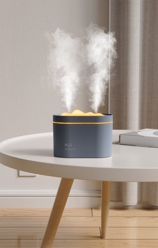New USB Dual Spray Humidifier For Home Office $40.50 Dana Fashion Color: Pink Electrical outlet: Battery Beauty Tools Product information: Applicable area: less than 10 square meters Water tank capacity: more than 10 liters Suitable for: home Number of fo