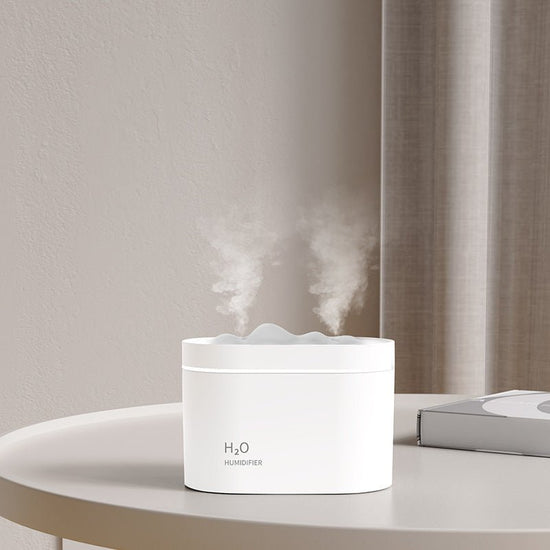 New USB Dual Spray Humidifier For Home Office $40.50 Dana Fashion Color: White Electrical outlet: Battery Beauty Tools Product information: Applicable area: less than 10 square meters Water tank capacity: more than 10 liters Suitable for: home Number of f