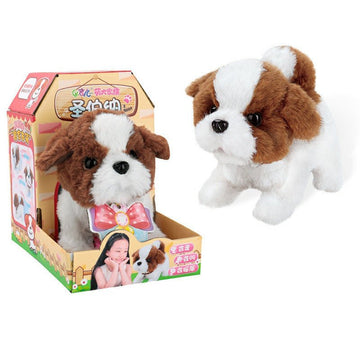 Saint Bernard