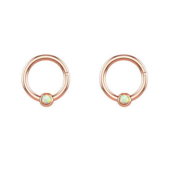 Stainless Steel Opal Nose Ring Nose Stud Stud Earrings Piercing Jewelry $12.22 Dana Fashion Color: Opal Rose Gold Women's Accessories Product information: Color: rose gold, gold, steel Material: stainless steel, Opal Style: Simple Packing list: Nose rings