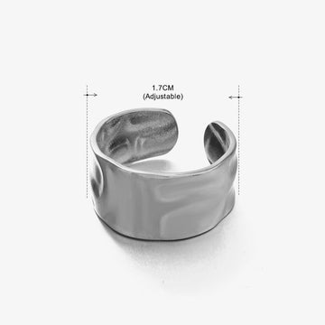 Steel Ring 190 2