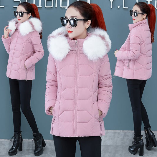 Women's Short Detachable Large Fur Collar Cotton Coat $53.50 Dana Fashion Color: Black Size: L Women's Accessories Product information: Color: pink, black, blue, red Size: M,L,XL,XXL,XXXL Thickness: thick Main fabric composition: Polyester Fiber Sleeve le