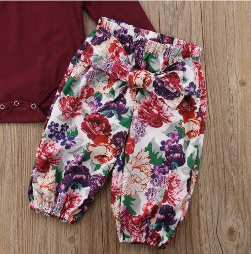 Zinnia Set 3PCS Newborn Baby Girls Red Tops Solid Romper Floral Pants Headband Outfits Autumn Set Clothes $20.29 Dana Fashion Height: 100cm Baby Clothing High quality and Brand new 100% Main Color:As The Picture Show Brand New in Fashion Adorable Newborn